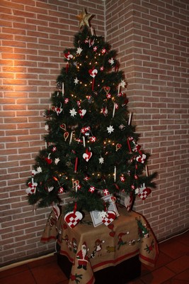 Lighting of the Christmas Trees